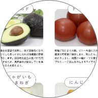 第五章のサンプル写真2