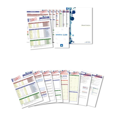 毛髪ミネラル検査 Pulebe